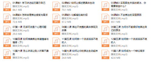阮琦-魔鬼表达训练课（15节） - 雨点资源网