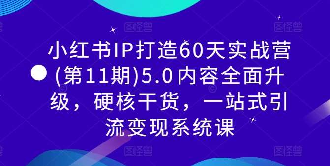 小红书运营教程：IP打造60天实战营7G - 雨点资源网