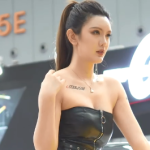 车展车模4K超清视频下载 - 雨点资源网