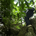 超级ITV去广告安卓高清影视直播软件 1.0.3 -海量电视免费版 - 雨点资源网