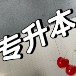 专升本自考资料课程大合集 - 雨点资源网