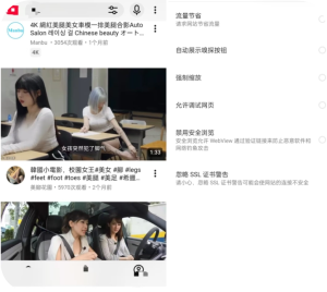 Via解限版,无限制深夜访问网站,支持嗅探资源3! - 雨点资源网