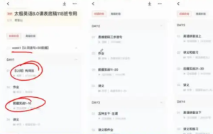 《太极英语8.0》:零基础速成英语全能指南 - 雨点资源网