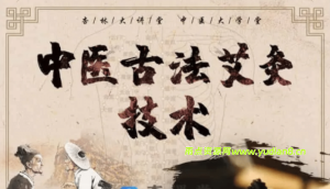 中医古法艾灸疗法学习视频全集下载 - 雨点资源网