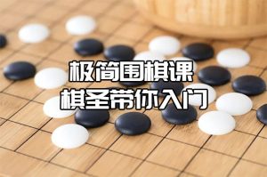 极简围棋课 棋圣带你入门 - 雨点资源网