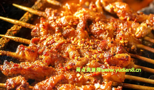 【烧烤专题】全系列教程(32合集56.5G) - 雨点资源网