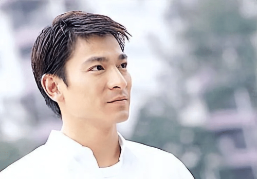 《刘德华电影合集》夸克网盘下载 - 雨点资源网