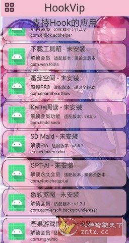 HookVip 软件vip解锁模块4.1.3 - 雨点资源网