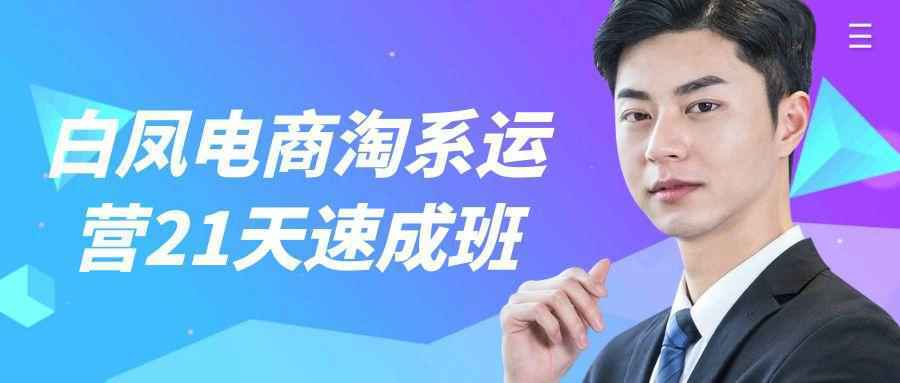 白凤电商淘系运营21天速成班 - 雨点资源网