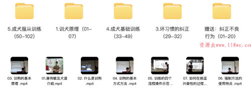 【训犬教程】专业训犬教程(140节课) - 雨点资源网