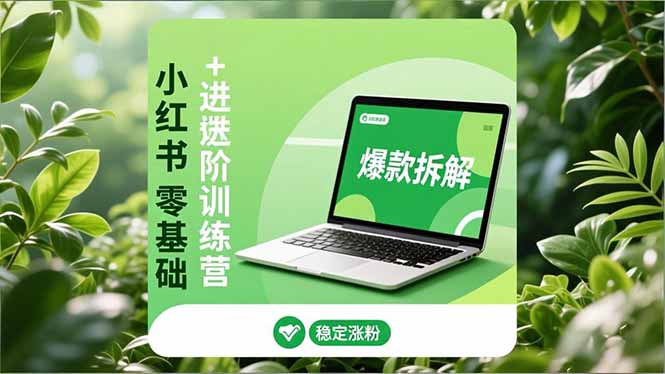 小红书零基础+高阶训练营：安全养号、爆款拆解、长效运营，实现稳定涨粉与变现 - 雨点资源网