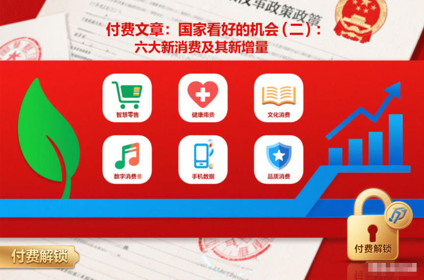 付费文章：国家看好的机会(二)：六大新消费及其新增量 - 雨点资源网