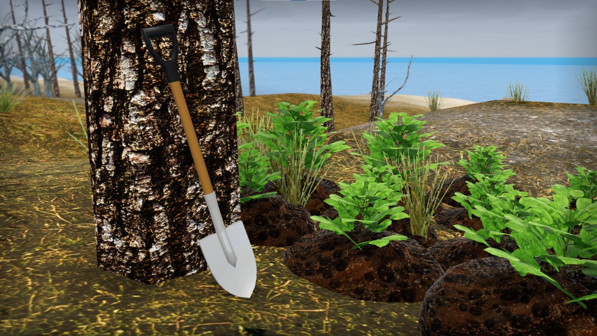 我的破车/Mon Bazou 我的破车/Mon Bazou