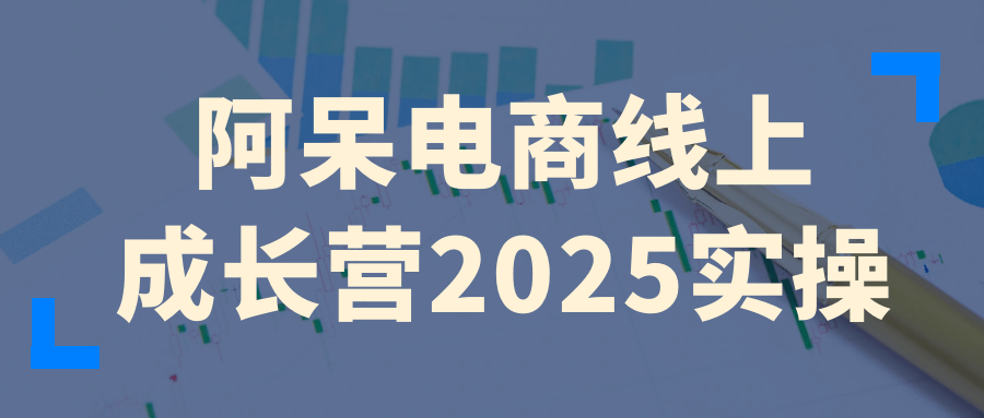 阿呆电商线上成长营2025实操 - 雨点资源网