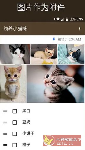 WeNote微笔记 v6.41纯净版 - 雨点资源网