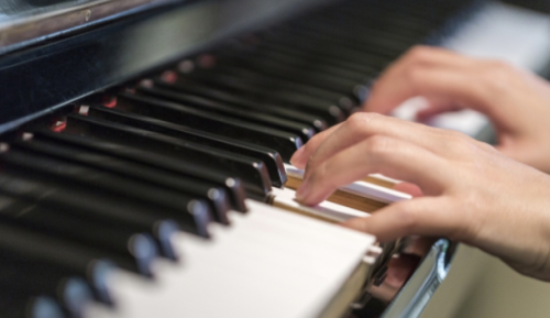 钢琴零基础速成视频课程视频教程下载 - 雨点资源网