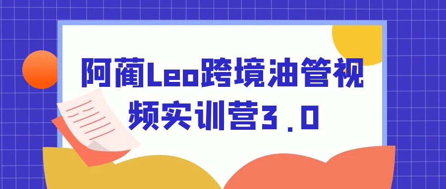 阿蔺Leo跨境油管视频实训营3.0 - 雨点资源网