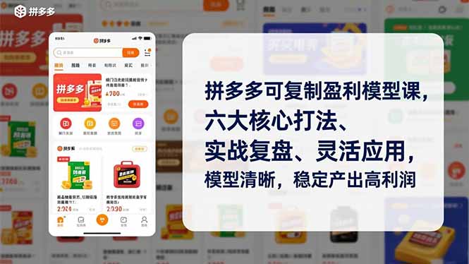 拼多多可复制盈利模型课，六大核心打法、实战复盘、灵活应用，模型清晰，稳定产出高利润 - 雨点资源网