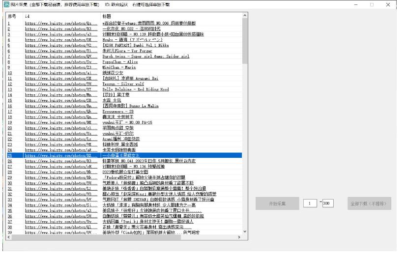 PC美女写真采集kaizty网站分身分术 - 雨点资源网