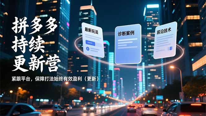 拼多多持续更新营，最新玩法、诊断案例、前沿技术，紧跟平台，保障打法始终有效盈利(更新 - 雨点资源网