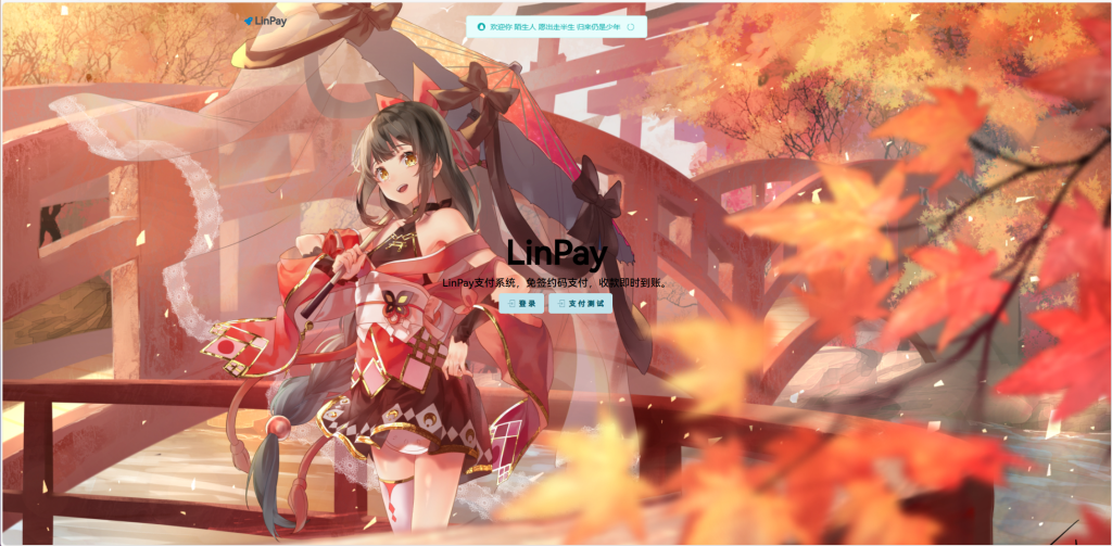 首发最新LinPay码支付免授权版，LinPay码支付官网，码支付，源支付 - 雨点资源网