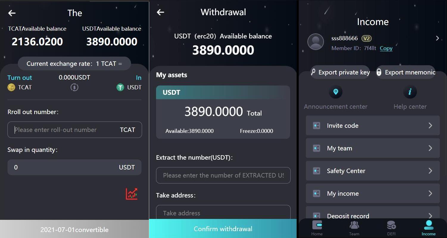 2024 新版H5打包版双语言虚拟系统 USDT支付 - 雨点资源网