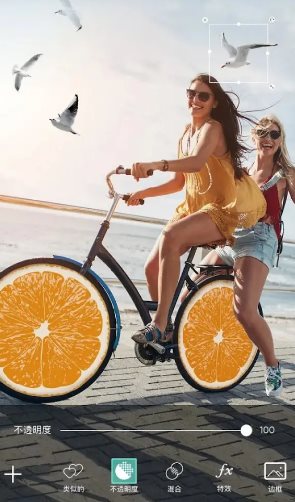 Picsart美易 v29.0.10高级版 - 雨点资源网