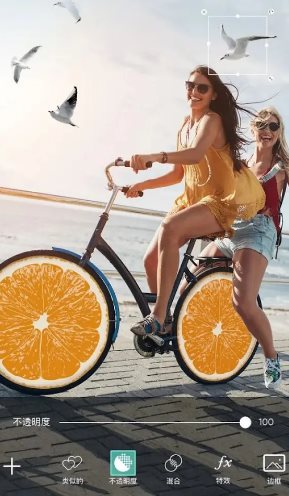 Picsart美易 v29.0.9高级版 - 雨点资源网