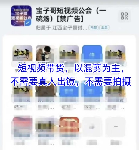 宝子哥头部团队短视频带货,以混剪为主,不需要真人出镜,不需要拍摄【更新12月】 - 雨点资源网