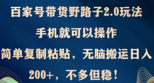 百家号带货野路子玩法，手机就可以操作，无脑复制粘贴 单账号日稳定变现 - 雨点资源网