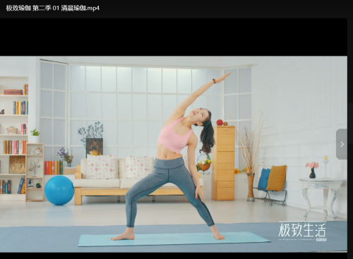 极致瑜伽课1-6季高清视频教程 - 雨点资源网